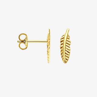 Gold earrings - Feather studs - 9K yellow gold feather stud earrings, 11.3 mm - Royal Coster Diamonds