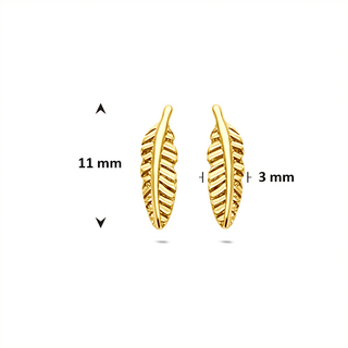 Gold earrings - Feather studs - 9K yellow gold feather stud earrings, 11.3 mm - Royal Coster Diamonds