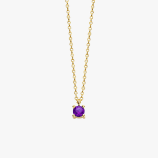 14K Gold Necklace with Birthstone February - Amethyst - Royal Coster Diamonds