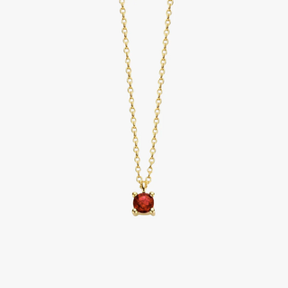 14K Gold Necklace with Birthstone January - Garnet - Royal Coster Diamonds