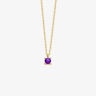 14K Gold Necklace with Birthstone February - Amethyst - Royal Coster Diamonds
