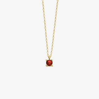 14K Gold Necklace with Birthstone January - Garnet - Royal Coster Diamonds