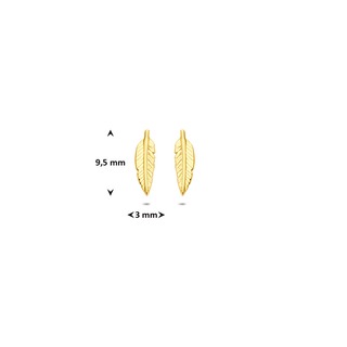 Gold earrings - Feather studs - 9K yellow gold feather stud earrings, 9.5 x 3 mm - Royal Coster Diamonds