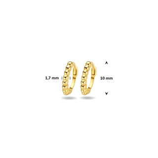 Gold earrings - Twisted hoops - 9K yellow gold twisted hoop earrings, 20.5 mm - Royal Coster Diamonds