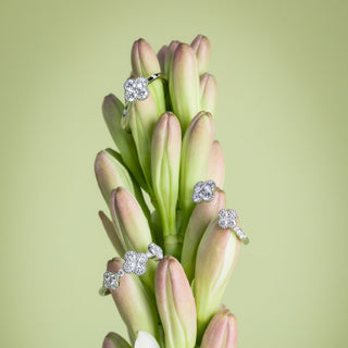 Garden Bloom Ring - Royal Coster Diamonds